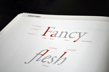 Thinking With Type Detail